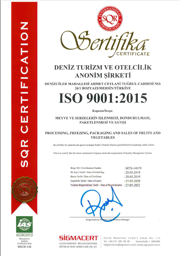 ISO 9001:2015